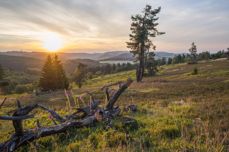 hochheide bei willingen c) sauerland wanderdörfer, klaus peter kappest