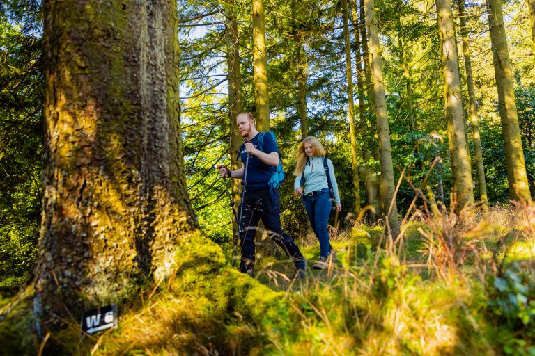wanderer am wanderweg w6 c) tourist information willingen, david heise (2)