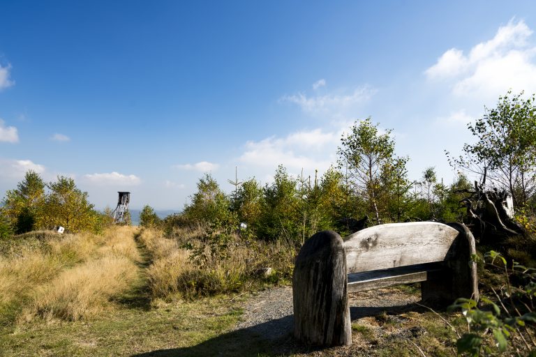 wanderweg mit aussicht c) tourist information willingen, wolfgang detemple (01)